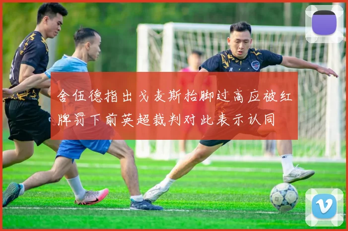 舍伍德指出戈麦斯抬脚过高应被红牌罚下前英超裁判对此表示认同